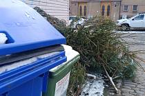 Vánoční stromky odložené u kontejnerového stání v Kutné Hoře, 8. ledna 2024