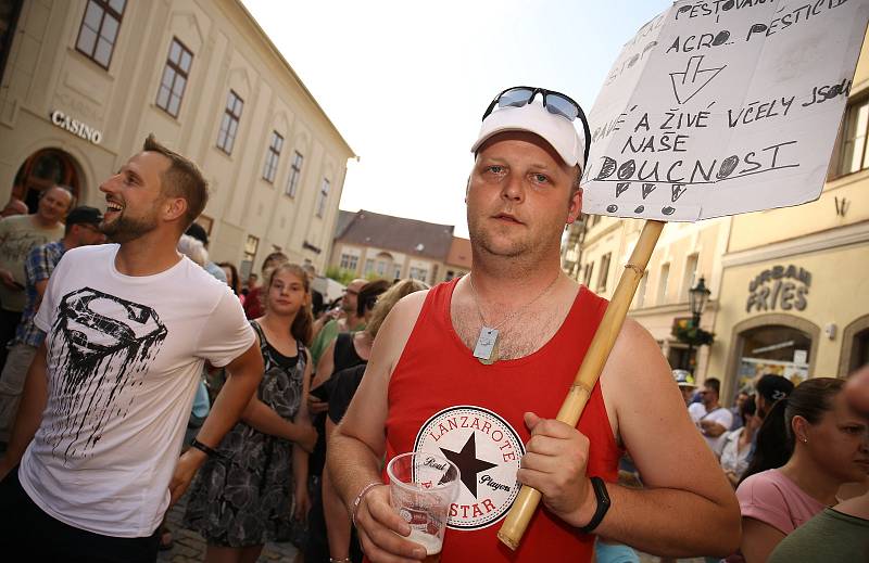 Lidé demonstrují v Kutné Hoře u morového sloupu.