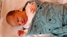 Stela Adámková se narodila 4. července 2022 v 9.28 hodin v čáslavské porodnici. Po narození vážila 3600 gramů a měřila 51 centimetrů . Doma v Dolní Pohledi jí přivítali maminka Lucie, tatínek Michal a dvouletý bráška Vilda.