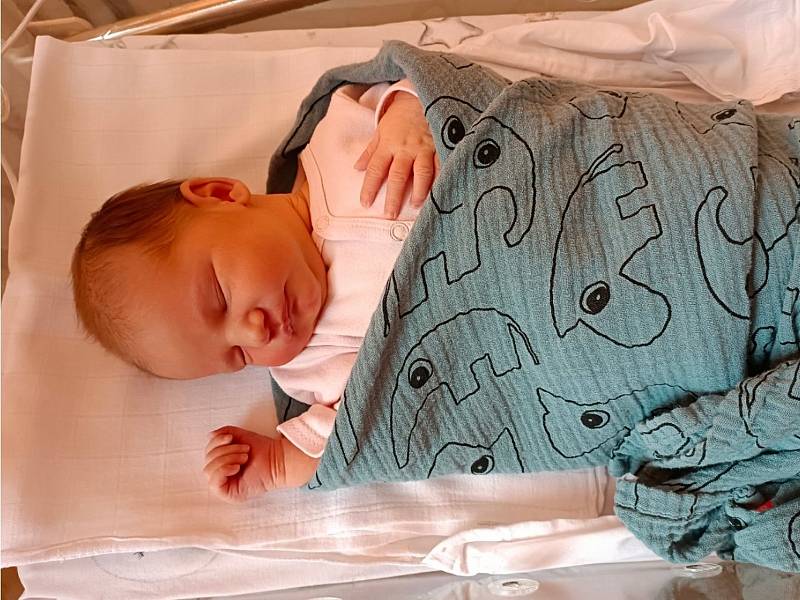Stela Adámková se narodila 4. července 2022 v 9.28 hodin v čáslavské porodnici. Po narození vážila 3600 gramů a měřila 51 centimetrů . Doma v Dolní Pohledi jí přivítali maminka Lucie, tatínek Michal a dvouletý bráška Vilda.