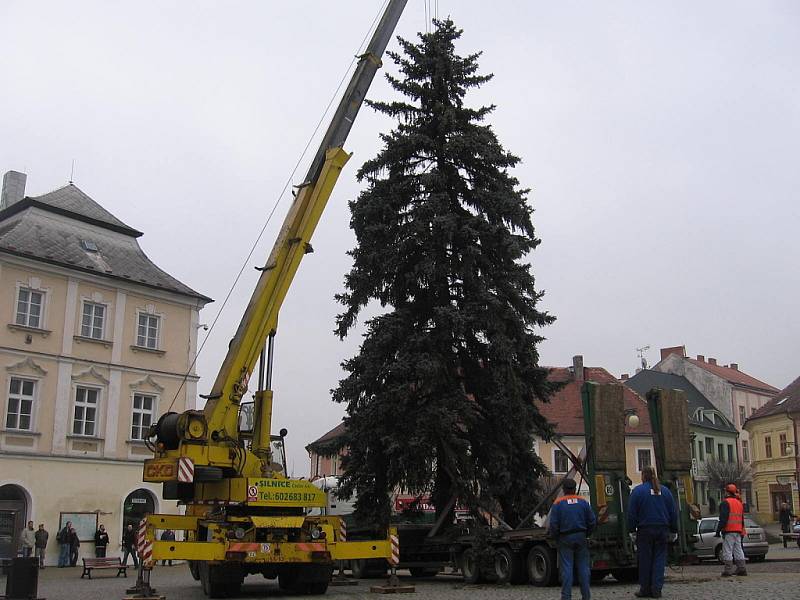 Strříbrný smrk od Václava Suka ze Záboří nad Labem.