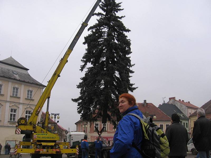 Strříbrný smrk od Václava Suka ze Záboří nad Labem.