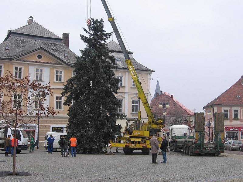 Strříbrný smrk od Václava Suka ze Záboří nad Labem.