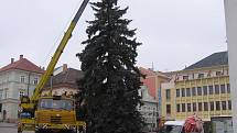 Strříbrný smrk od Václava Suka ze Záboří nad Labem.