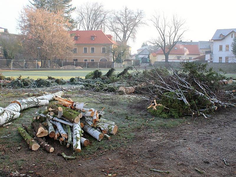 Park pod Vlašským dvorem prochází revitalizací. 