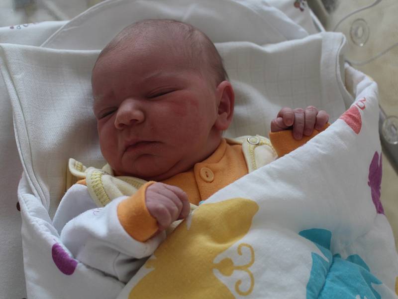 Martina Semerádová se narodila 12. ledna v Čáslavi. Vážila 3200 gramů a měřila 50 centimetrů. Doma v Horkách u Čáslavi ji přivítá maminka Martina, tatínek Roman a ostatní sourozenci.