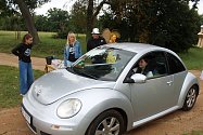 Z 33. Mezinárodního srazu Beetle a New Beetle na téma Naruby u zámku Kačina ve Svatém Mikuláši.
