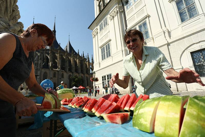 Z  běhu Dačického "12" v sobotu 8. srpna 2020.