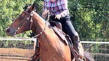 11. Sportovní den s koňmi v Kozohlodech 8. srpna 2015
