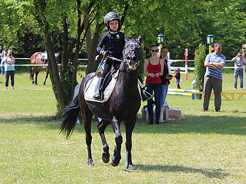 Jezdecké hobby závody v Žehušicích