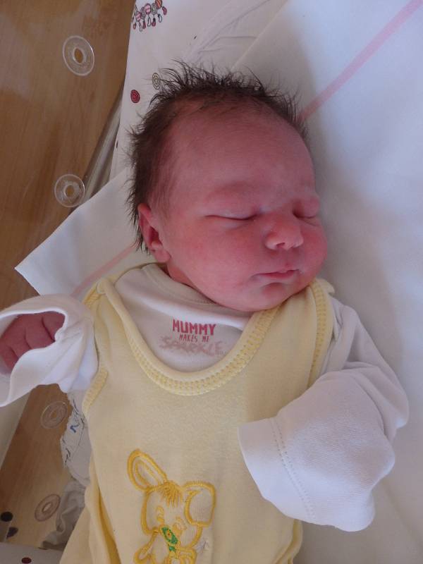Andrea Boerová se narodila 17. července v Čáslavi. Vážila 3100 gramů a měřila 49 centimetrů. Doma v Čáslavi ji přivítali maminka Lucie a tatínek Jácint.