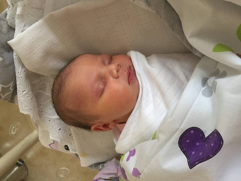 Sofia Grytsyshche se narodila 17. dubna 2022 v 8.53 hodin v Čáslavi. Po narození vážila 3450 gramů a měřila 51 centimetrů . Doma v Čáslavi ji přivítali maminka Liudmyla a tatínek Jaroslav.