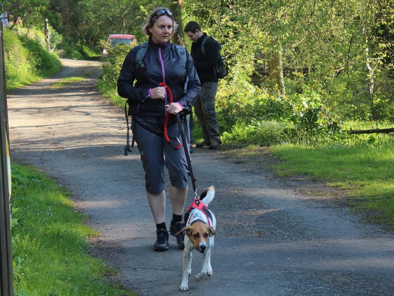 Dogtrekkingový závod Okolo Kutné Hory, 5.ročník