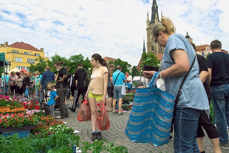 Z tradičních čáslavských trhů 2021.