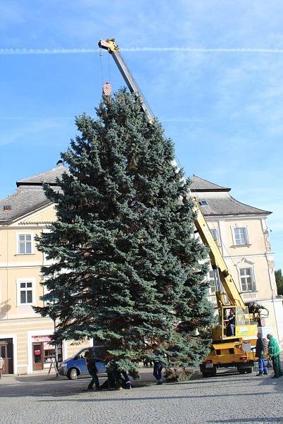 Vánoční strom přivezli na Palackého náměstí v Kutné Hoře ve čtvrtek 23. listopadu.