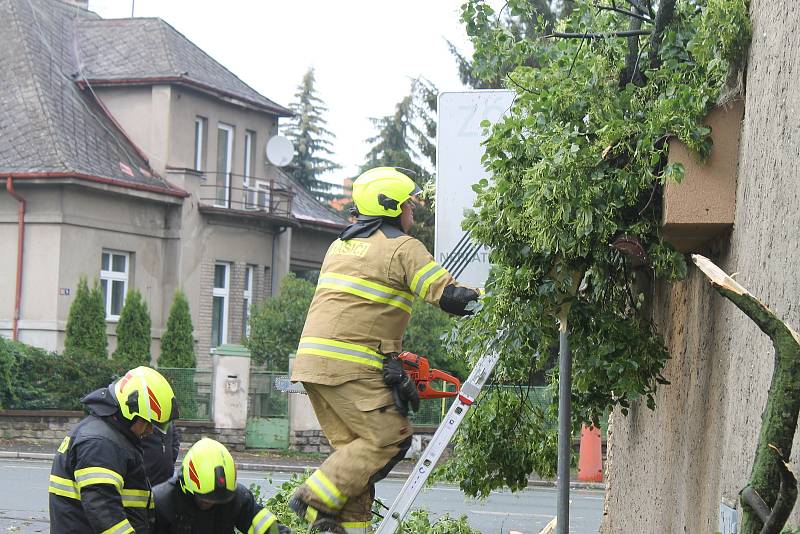 Vichr shodil strom na roku Kouřimské a Vojtěšské ulice.