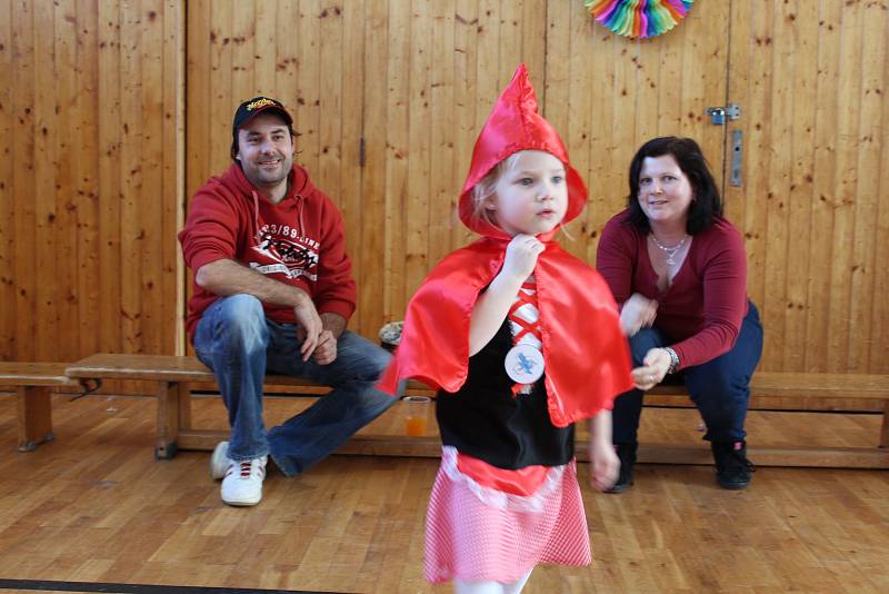 Dětský karneval uspořádal TJ Sokol Žehušice.