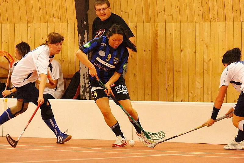 Czech Open 2010: Kutná Hora - IBK Tygriket.