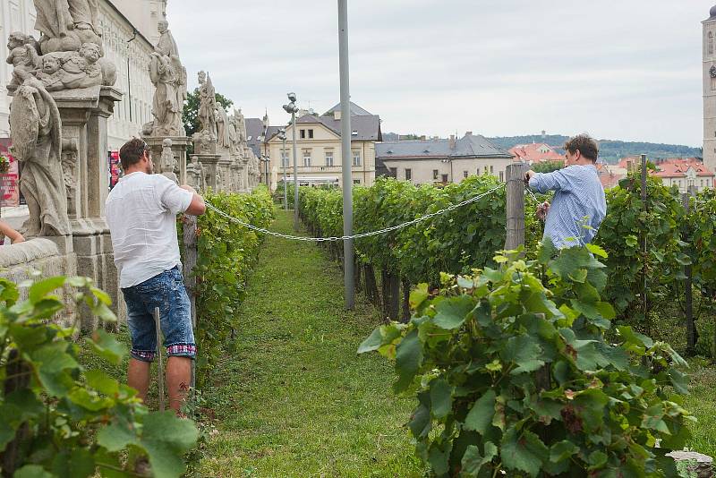 Kutnohorští vinaři symbolicky zavřeli horu.