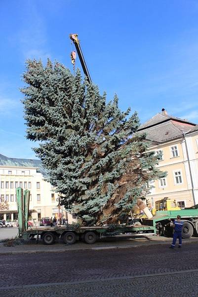 Vánoční strom přivezli na Palackého náměstí v Kutné Hoře ve čtvrtek 23. listopadu.