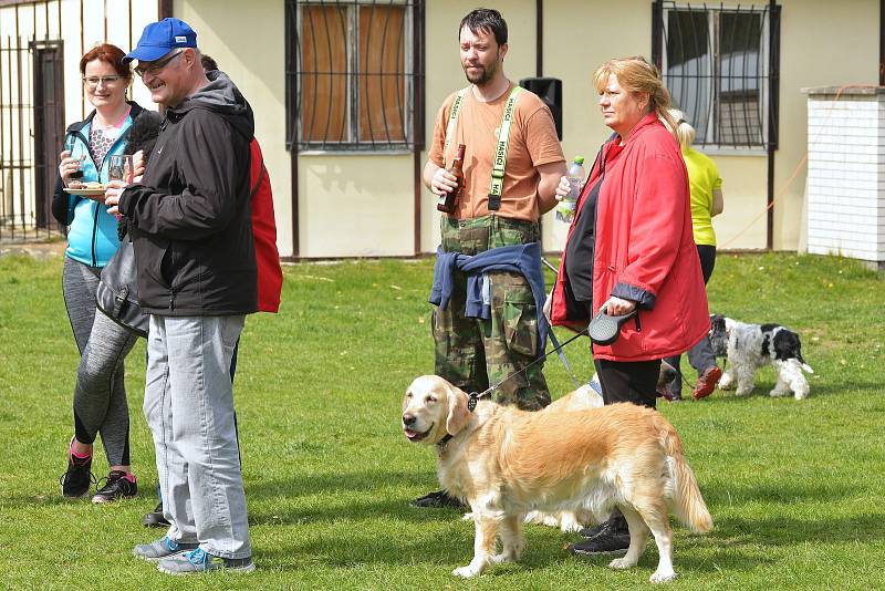 Agility závody 'O kutnohorský groš' na cvičáku v Kutné Hoře.