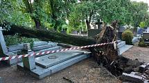 Následky bouřky v noci na čtvrtek 24. června na hřbitově Všech svatých v Kutné Hoře.