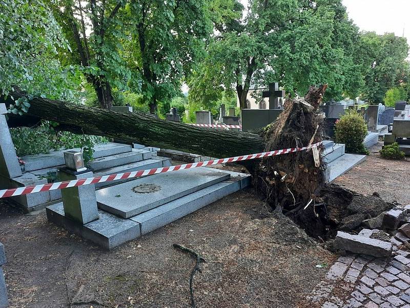 Následky bouřky v noci na čtvrtek 24. června na hřbitově Všech svatých v Kutné Hoře.