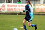 Česká fotbalová liga mladších žáků U13: FC Hlinsko - FK Čáslav 10:2 (3:0, 4:1, 3:1).