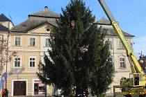 Instalace vánočního stromu ze Svatého Mikuláše na Palackého náměstí v Kutné Hoře.