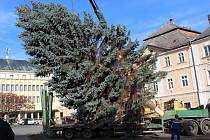Vánoční strom loni přivezli na Palackého náměstí v Kutné Hoře ve čtvrtek 23. listopadu.