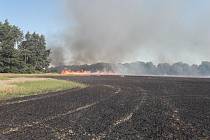 Požár pole v Habrkovicích 15. srpna 2023