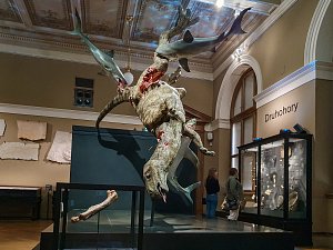 Stehenní kost i model zatím jediného dinosaura nalezeného na českém území a pojmenovaného Burianosaurus augustai najdete v Národním muzeu v Praze