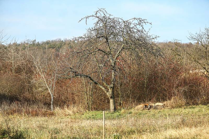 Fotokvíz: Poznáte obec na Kutnohorsku?