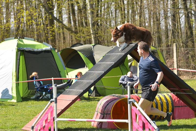 Agility závody 'O kutnohorský groš' na cvičáku v Kutné Hoře.