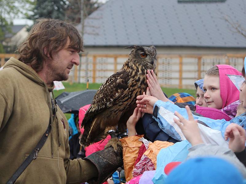 Dravci přilétli do zahrad Gasku