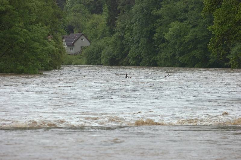 Sázava u Rataj nad Sázavou. 2.6.2013