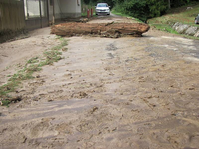 Odstraňování následků přívalového deště v chatové osadě Chřenovice - Podhradí. Archivní foto ze září 2018.