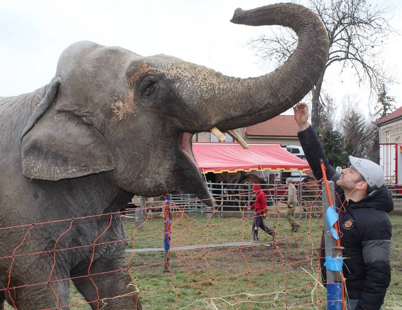 Cirkus Berousek v Kutné Hoře