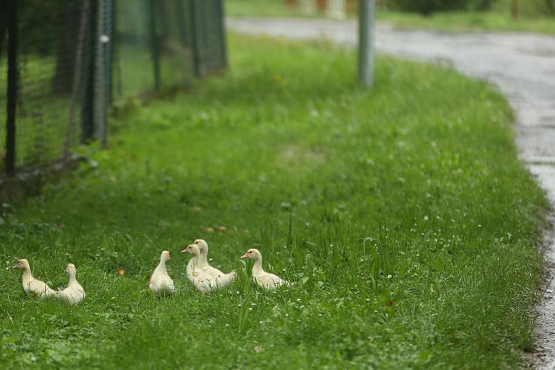 Fotokvíz: Poznáte obec na Kutnohorsku?