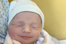 Vojtěch Zeman se narodil předčasně 27.října 2021 v 11:50 hodin, ale i tak je to kus chlapa. Po narození měřil 46 cm a vážil 2650 g. Radost z něho mají maminka Jana a tatínek Honza z Čáslavi.