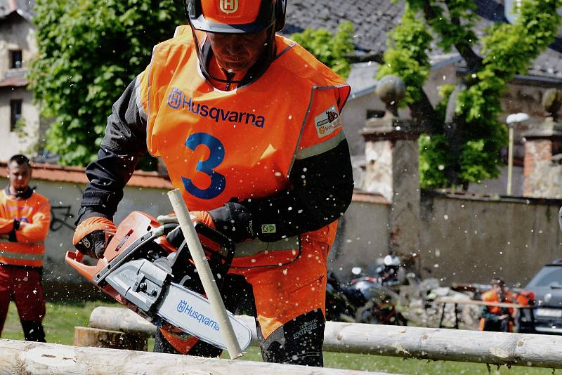 Soutěžilo se v disciplínách výměna řetězu na čas, kombinovaný řez, řez na podložce a finálové disciplíně odvětvování.