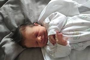Tereza Štípková se narodila dne 30.1. 2023 v 9,18 hod. v čáslavské nemocnici. Vážila 3050 g a měřila 50 cm. Domů do Dolních Bučic odjela s maminkou Alenou, tatínkem Michalem a bráchou Honzíkem.