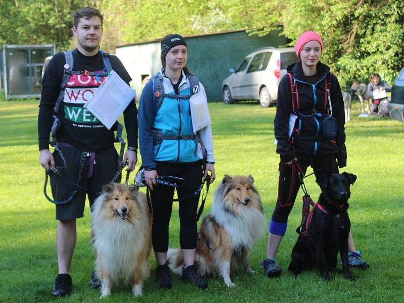 Dogtrekkingový závod Okolo Kutné Hory, 5.ročník