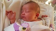 Rozálie Vančurová se narodila 27. října 2021 v 15:03 hodin v čáslavské porodnici. Vážila 4110 gramů a měřila 51 centimetrů. Domů do Tupadel si ji odvezli maminka Lenka a tatínek Pavel.