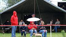 Jezdecké hobby odpoledne v Chotusicích " Na Křepelce." 28. 8. 2010