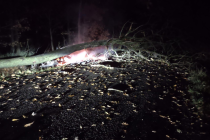 Auto narazilo do stromu a začalo hořet, 24. listopadu 2023.
