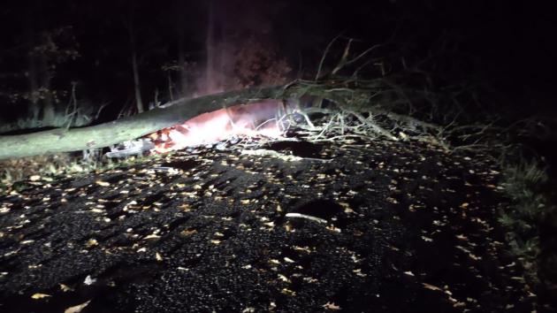 Auto narazilo do stromu a začalo hořet, 24. listopadu 2023.