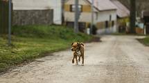 Fotokvíz: Poznáte obec na Kutnohorsku?