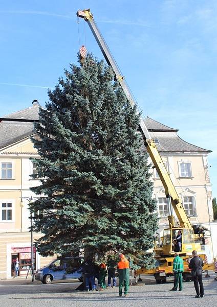Vánoční strom přivezli na Palackého náměstí v Kutné Hoře ve čtvrtek 23. listopadu.