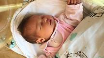 Lada Čechová se narodila 17. dubna 2022 ve 13.10 hodin v čáslavské porodnici. Vážila 3400 gramů a měřila 50 centimetrů. Domu do Míčova - Sušice si ji odvezli maminka Michaela a tatínek Jiří.